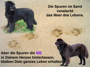 Spuren im Sand Eve Bijou